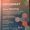 Воркшоп від Фонду Зайделя в Україні на тему:  «Ігрофікація та освітні ігри для розвитку спільнот»