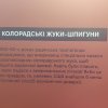 Грінченківці на інтерактивній виставці #ДезАут у Музеї історії міста Києва